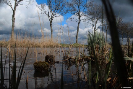 Thijssengracht,Giethoorn